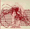 Electronic Meditation